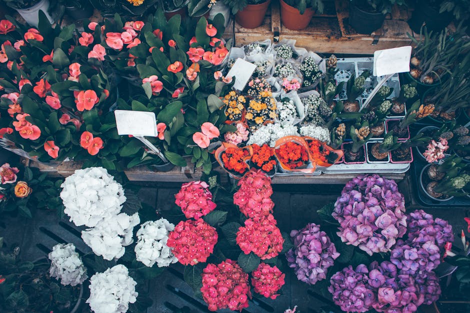 A vibrant display of various flowers arranged for floral gifting at a flower shop near Richmond Station. In the foreground, there are large clusters of pink hydrangeas with rounded blooms, alongside w