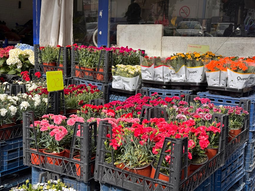 A display of flowering plants arranged in black plastic crates outside a florist shop, featuring pink and red carnations with ruffled petals, white petunias, orange marigolds, and yellow potted flower